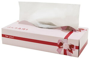 ق̋C BOXeBbV 120W@60Zbg@@ ii ei gCbgy[p[ gCbg[ gC ܂Ƃߔ    mxeB Cxgp ei ̑p ʔ 