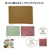 デイタス ラージブランケット　60個セット　　あったか ウインター ウォーマー 冬 ブランケット ひざ掛け…