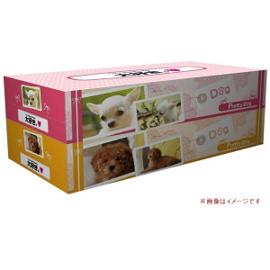 veBhbO BOXeBbV 130W2P@36Zbg@@@qpi  ei ii eBbV {bNX BOX