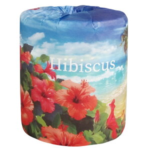 nCrXJX1[@100Zbg@@ii ei gCbgy[p[ gCbg[ gC ܂Ƃߔ    mxeB Cxgp ei ̑p ʔ Ɩp Vv