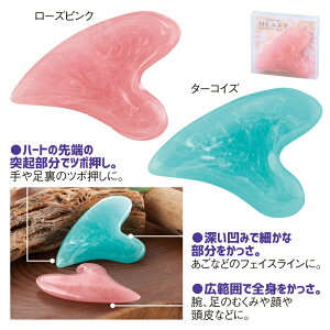 WGJ[ n[gJbTv[g@50Zbg@@GXe RX e ϕi T  GXe bNX tFCXC ނ c{ JbTv[g  pXeJ