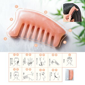 GX| JbTv[g@100Zbg@@GXe RX e ϕi T  GXe bNX tFCXC ނ c{ JbTv[g  pXeJ[ v`Mt