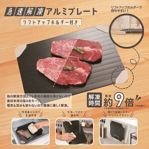 急速解凍アルミプレート(リフトアップホルダー付) 20個セット   冷凍 急速解凍 まな板 アルミ 自然解凍 粗熱 丸洗い コンパクト 置くだけ 簡単 電気 ガス 不要 時短調理 景品 来場 記念