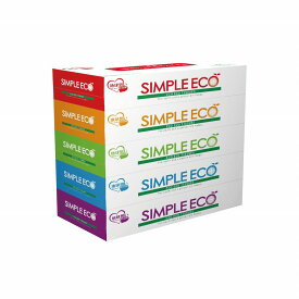 シンプルエコティッシュ100W5個組　60個セット　　ティッシュペーパー 紙 ボックスティッシュ 消耗品 箱ティッシュ まとめ買い ボックス 箱買い 衛生 安い 激安 景品 粗品 来場 来店 記念品