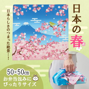 tMtg 炳 ӂ낵@@  TN v`Mtg ii  Ԃ̃Mtg @l V w  搶 v[g Ǝ ސE ʉ ʂ