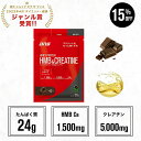 【15%OFF！16日1:59まで】プロテイン ホエイプロテイン HMB クレアチン お試し お試しパック チョコ エナジードリンク 個包装 小分け 筋トレ トレーニング 国内製造 ／ DNS ディーエヌエス ホエイプロテイン HMB＆クレアチン 35g 選べる2風味