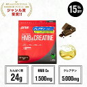【15%OFF！10日23:59まで】プロテイン ホエイプロテイン HMB 1500mg クレアチン モノハイドレート 5000mg チョコ エナジードリンク 筋トレ トレーニング 国内製造 ／ DNS ディーエヌエス ホエイプロテイン HMB＆クレアチン 630g 選べる2風味
