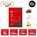 【15%OFF！16日1:59まで】プロテイン ホエイプロテイン HMB グルタミン アルギニン シトルリン お試し お試しパック チョコ ヨーグルト フルーツ 個包装 小分け 筋トレ トレーニング 国内製造 ／ DNS ディーエヌエス ホエイプロテインSP