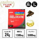 【11日1:59まで！最大20%OFFクーポン+ポイント5倍】プロテイン ホエイプロテイン HMB 1500mg クレアチン モノハイドレート 5000mg チョコ エナジードリンク 筋トレ トレーニング 国内製造 ／ DNS ディーエヌエス ホエイプロテイン HMB＆クレアチン 630g 選べる2風味
