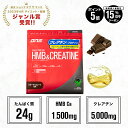 マラソン期間中【ご新規様限定15%OFF＆ポイント5倍】DNS ホエイプロテイン HMB&クレアチン プロテイン 630g HC ホエイ ホエイプロテイン HMB クレアチン 選べる2風味 ビターチョコレート エナジードリンク ハイスペック HMB クレアチン サプリ サプリメント 女性 男性