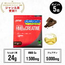 【7/15限定 ポイント5倍】DNS ホエイプロテイン HMB&クレアチン プロテイン 630g HC ホエイ ホエイプロテイン HMB クレアチン 選べる2風味 ビターチョコレート エナジードリンク ハイスペック HMB クレアチン