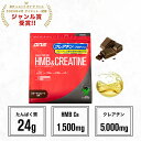DNS ホエイプロテイン HMB&クレアチン プロテイン 630g HC ホエイ ホエイプロテイン HMB クレアチン 選べる2風味 ビターチョコレート エナジードリンク ハイスペック HMB クレアチン