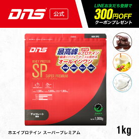 プロテイン ホエイプロテイン 1kg HMB グルタミン アルギニン シトルリン チョコ ヨーグルト フルーツ 筋トレ トレーニング 国内製造 ／ DNS ディーエヌエス ホエイプロテインSP 1000g 選べる3風味