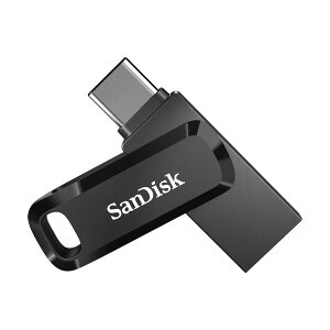 yVizSanDisk (SDDDC3-256G-G46) DualDrive Go USB Type-C 256GB [USB 3.1 /USB Type-C ]
