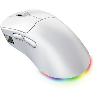 �y�V�i�zCENTURY [CRC-WGMRGB02WT]RACEN �y�ʃ��C�����X�Q�[�~���O�}�E�X LightBow White [�y��55g /�L���Ή� /���\���t������ /RGB-LED���C�g]