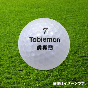 リーダーメディアテクノ_リーダーメディアテクノ公認球TOBIEMON飛衛門パールボールホワイト(T-B2PW)