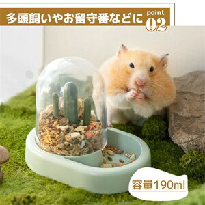 nX^[ H 2Zbg  H a a p pH nlY~ ԑ΍  S[fnX^[ K bg t[h{E a Œ M