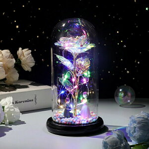 ԙ 24KS[h[Y o ͂Ȃ bL[Y  LEDCgt dr ԑ v[go o^Cf[f[ ̓ j aj  NX}X VN jɓKp q