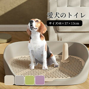 yzgC  gC g[  ybggC  gCg[jO ybgg[ Ch ybgp t`h~ h~ ӂR t`R  gCg[ 