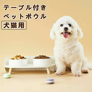 ybg{E H p Lp rt ybgpi ݃{E t[h{E 퐻 킢 t[h{E X^hZbg Z~bN@@ybg{EX^h GT2Ht 