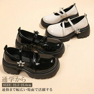 [t@[ fB[X w ʋ ʊw ubN Z q [t@[ C  킢 ubN  t@bV BOBDOG SHOP Vpi