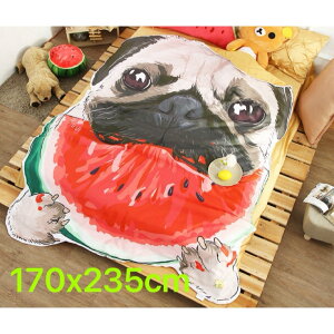 pOѕz uPbgЂ| Ăzc170x235cm PUG