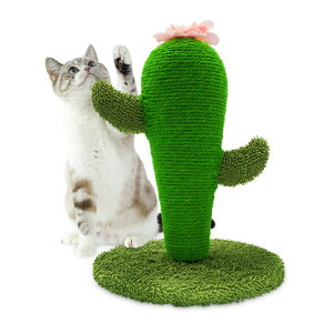 L܂Ƃ|[ L߂Ƃ XNb`|[ T{e^ CeA 