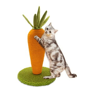 L܂Ƃ|[ L߂Ƃ XNb`|[ T{e^ CeA 