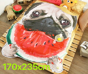  pOѕz  uPbg h΍ Ђ| Ăzc170x235cm PUG