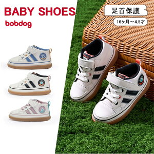 V[Y C ɂ Xj[J[ t@[XgV[Y ɗD \tg\[ ʋC ~ ʊw ₷ y q 킢 C LbY j̎q ̎q qC LbY t H ^