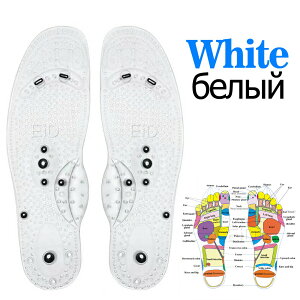 C}bT[WC\[,jZbNX,A[`T|[g,C̎w,g,,