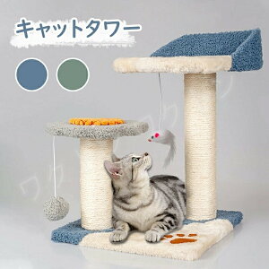 Lbgc[ u X ӂӂ L gݗ ݒu ȒP ܂Ƃ Ki XNb`  L ˂ ybg ybgpi ybgObY  lC