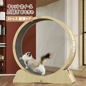 LbgzC[ L jOzC[ [i[ LbgEH[N Lbg [[ L̃gbh~ 񂵎 ܌ ^ L  LbgGNTTCYzC[ mCY