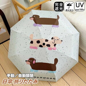 ܂肽 P SՌ J  P 8{ 肽ݎP ^b` Ռ100 JP Jp 蓮J y Y fB[X LbY [P[X UVJbg O΍ Ռ JP S