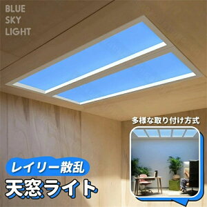 V[OCg Vv _ XJCCg Ɩ VCg  X}[gT XJCCg oX[ ʘH rO[ VƖ 120cm