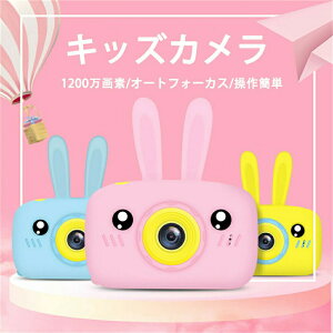 LbYJ qpJ gCJ fW^J HD ȒP ʐ^//rfI I[gY  ^C~OϏՌ ϗ mQ[t m ̎q j̎q  