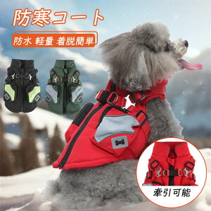   ~ hbOEFA ybg   xXg wJ ^ ^ m hR[g h y EȒP H g  WPbg ȕ  킢 hbOEFA {A n[lX