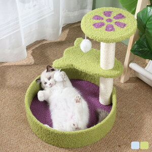 LbgNC~O LpnbN LpƋ LpNC~Ot[ XNb`|Xg p Lpxbh LpNC~Ot[ L̖ ybgANZT[