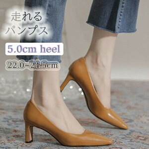 pvX Xgbv ₷ ɂȂ 傫TCY  w L  ItBX 5cmq[