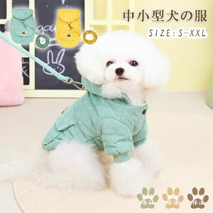  ybgEFA ̕  DJt ybg hbOEFA ybgpi  g H~t {A h RR ӂӂ U