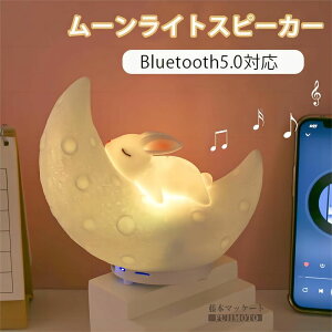 y2024NŐVzƂ킢 [CgXs[J[ [Cg Xs[J[ Cg LED Bluetooth5.0 iCgCg ^  