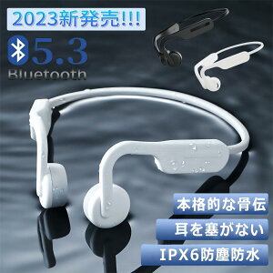yr[Tz`Cz 2023 Bluetooth 5.3 CXCz `wbhz Hi-Fi ǂȂ u[gD[X ho IPX6h | }CNt y yAO 