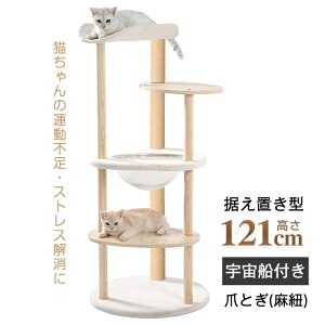 Lbg^[ L^[  ܂Ƃ FDt u 芴Q |ȒP  121CM ^L L qL  킢 pt079