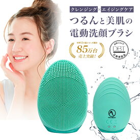 20日10:00~【30％ポイント還元★先着+8%OFFクーポン発行】 【ネイオンビューティー】 電動洗顔ブラシ ミント 毛穴 黒ずみ くすみ 角質 ケア 超微振動 エイジングケア 世界初マイナスイオン 全米大ヒット 日本初上陸 洗顔ブラシ セルナチュレ スフレジェル