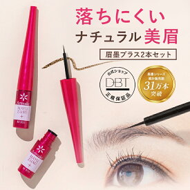 【50％ポイント還元★先着+10％OFFクーポン発行中12日9:59迄】 EC限定 【アートメイク】 眉墨プラス2本セット アイブロウ 落ちにくい 眉ティント 消えにくい オリジナル処方 簡単 美容成分配合 送料無料 LINE登録300円 DBTランキング1位