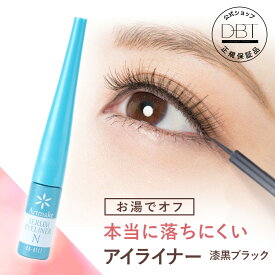 20日10:00~【35％OFFクーポン★先着+8%OFFクーポン発行】 公式 【アートメイク】 セラムアイライナーN 艶やか漆黒ブラック アイライナー 落ちないアイライナー リキッドアイライナー ベストセラー にじまない 速乾性 簡単 ティント お湯でオフ 美容成分 送料無料