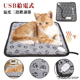 ホットマット USB 充電 アウトドア 三段階 ペット 電気カーペット 45×45cm 椅子 座布団 温度調節 電気 マット ヒーター 車載 ホット