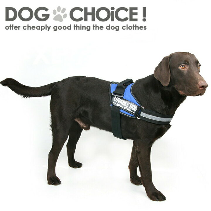 楽天市場 犬服 ドッグウェア 送料無料 ハーネス Lovabledog パワーハーネス Xs Xl 超小型犬 大型犬 機能性抜群 太めのベルトでしっかり固定 お散歩 夜のお散歩にも最適な反射テープ 飛び出し防止用ハンドル 犬服と猫グッズのお店 Dogchoice