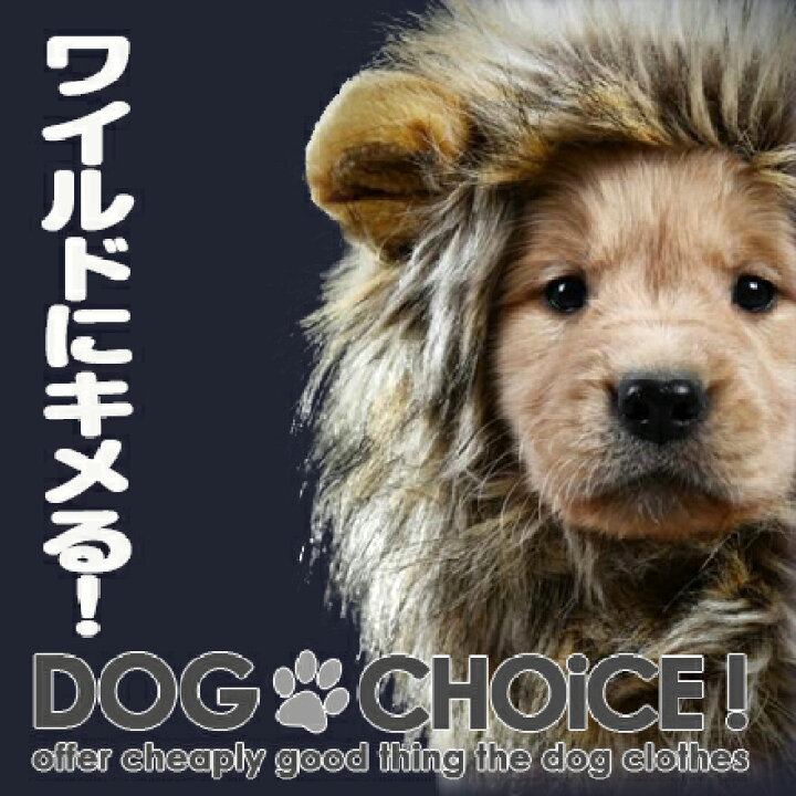 市場 犬用猫用 ペット ライオン 変身 耳付き帽子 ペット用 送料無料 ドッグウェア 猫服 帽子 たてがみ
