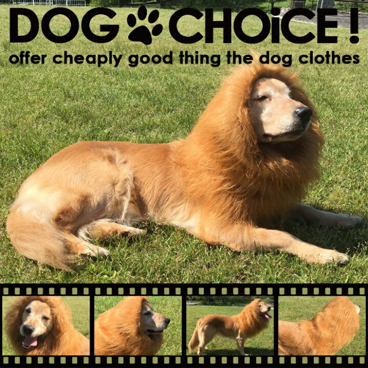 楽天市場 犬服 ドッグウェア 送料無料 帽子 秋冬モデル 大型犬向け ライオンに大変身 目立ちまくりなライオンたてがみ 犬 タテガミ ワンちゃんネコちゃんに ペット用 犬用猫用 被り物 ウィッグ ゴールデンレトリーバー ラブラドール ハロウィン 帽子 被り物